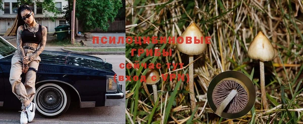 дурь Бугульма