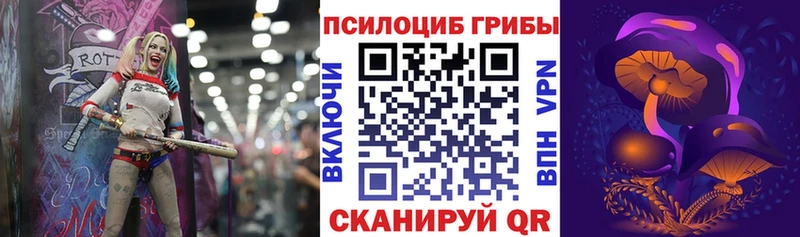 Галлюциногенные грибы Psilocybe  Обь 